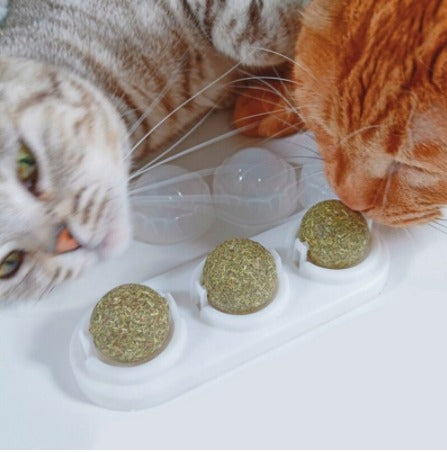 Catnip Para Gatos - perroamor